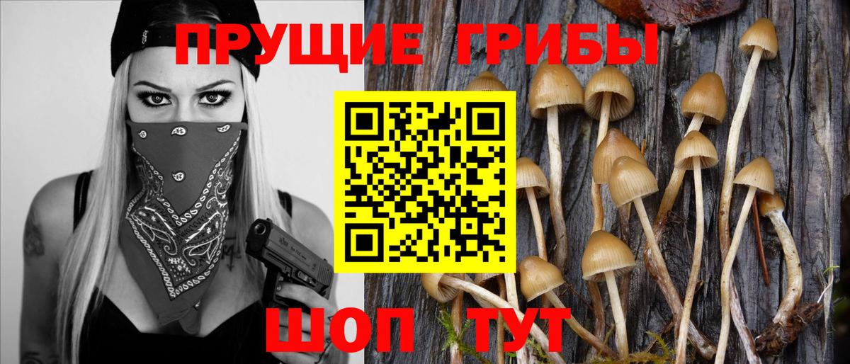 Галлюциногенные грибы мухоморы Изобильный