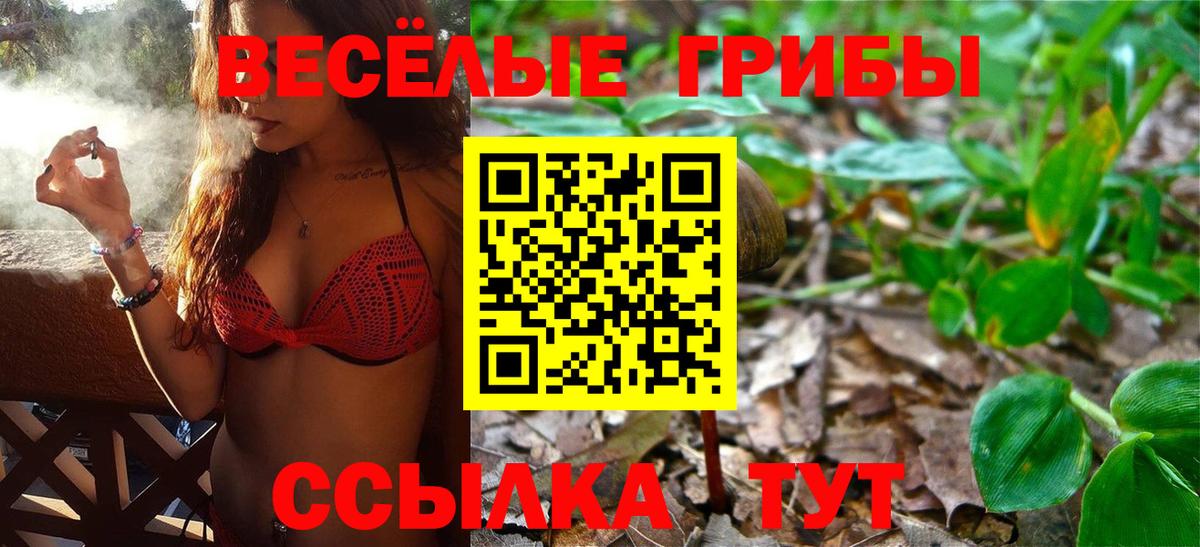 Изобильный  Псилоцибиновые грибы мухоморы  Галлюциногенные грибы GOLDEN TEACHER  Вход с VPN 